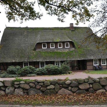 Apartmán Reit- Und Bauernhof Klaucke Trebel Exteriér fotografie